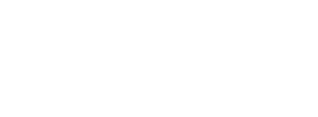Renault M&eacute;gane IV Seitenansicht