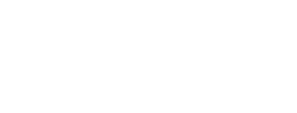 VW Polo AW1 technische Illustration